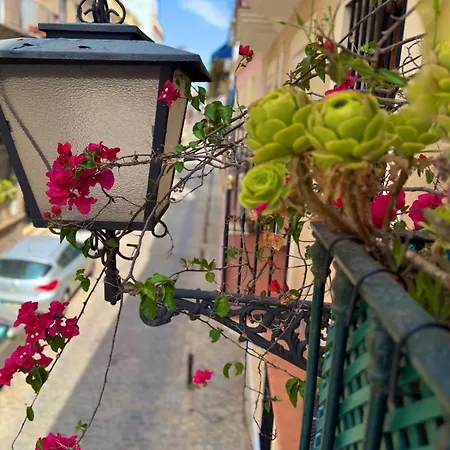 Aires De Triana Apartment Seville