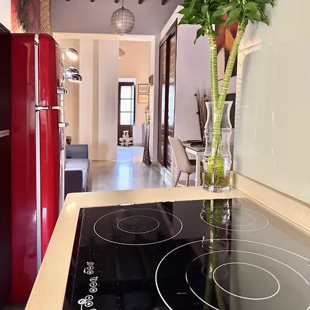 Aires De Triana Apartment Seville