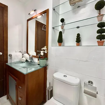 Aires De Triana Apartment Seville